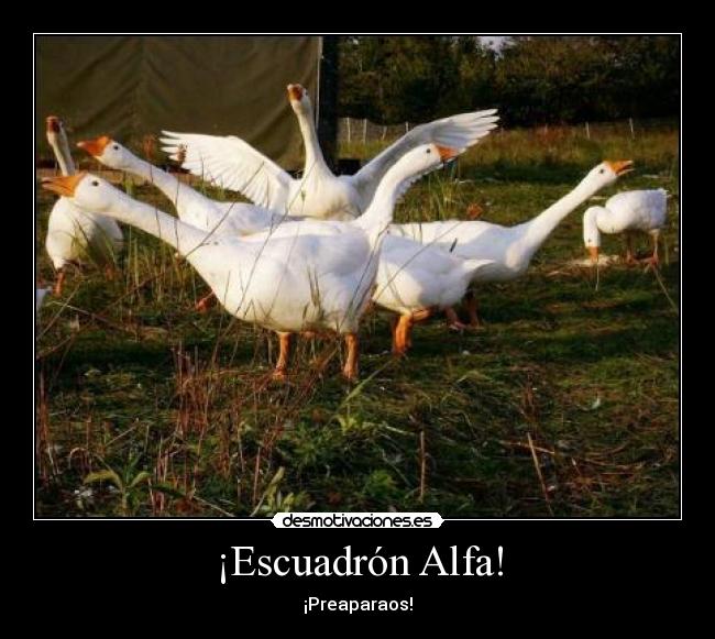 ¡Escuadrón Alfa! - 