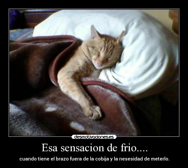 Esa sensacion de frio.... -