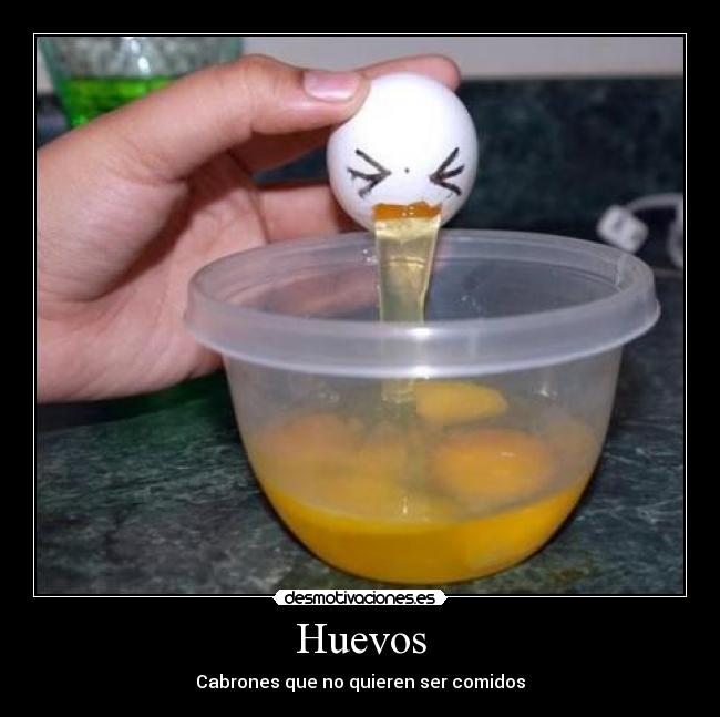 Huevos - Cabrones que no quieren ser comidos