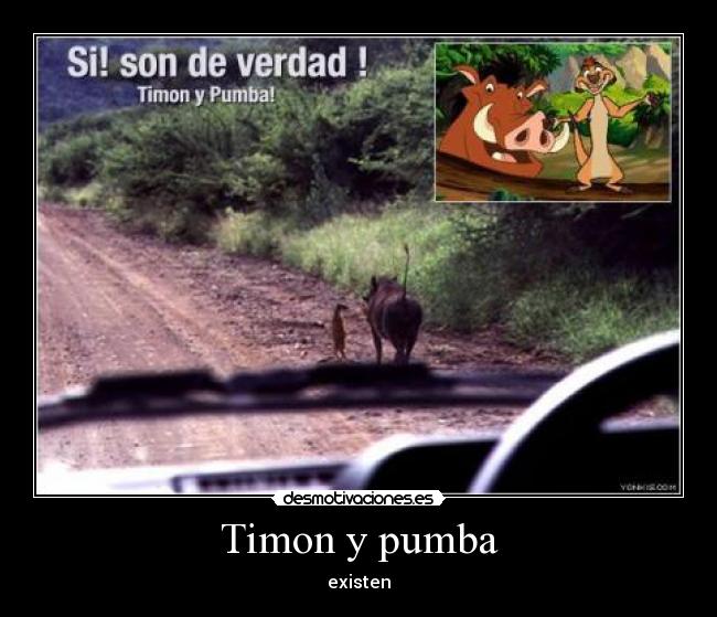 carteles timon pumba existen desmotivaciones