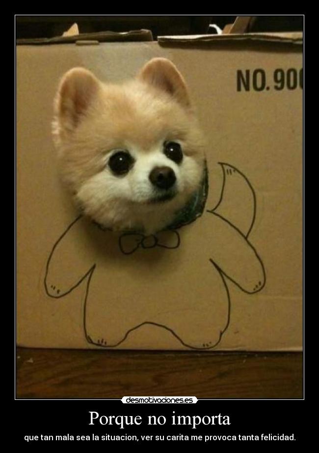 Porque no importa - que tan mala sea la situacion, ver su carita me provoca tanta felicidad.