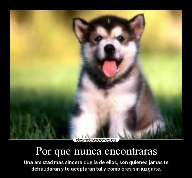 Por que nunca encontraras -