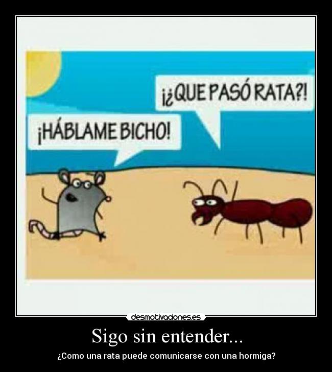 Sigo sin entender... - ¿Como una rata puede comunicarse con una hormiga?