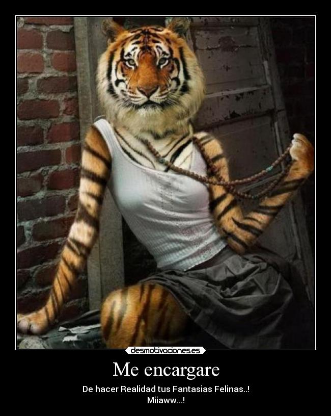 carteles lol desmotivaciones