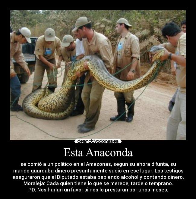 Esta Anaconda - se comió a un politico en el Amazonas, segun su ahora difunta, su
marido guardaba dinero presuntamente sucio en ese lugar. Los testigos
aseguraron que el Diputado estaba bebiendo alcohol y contando dinero.
Moraleja: Cada quien tiene lo que se merece, tarde o temprano.
PD: Nos harían un favor si nos lo prestaran por unos meses.