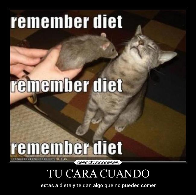 TU CARA CUANDO - estas a dieta y te dan algo que no puedes comer