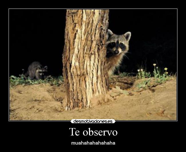 carteles  desmotivaciones