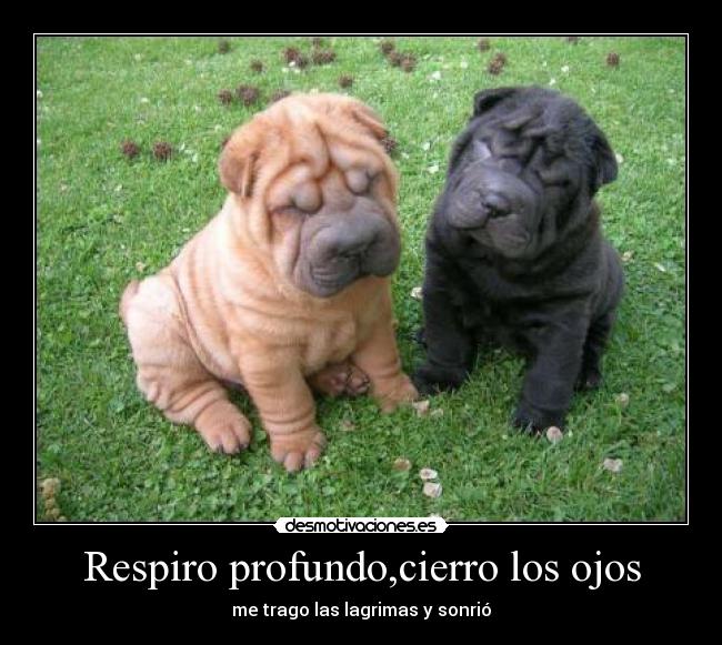 Respiro profundo,cierro los ojos - me trago las lagrimas y sonrió