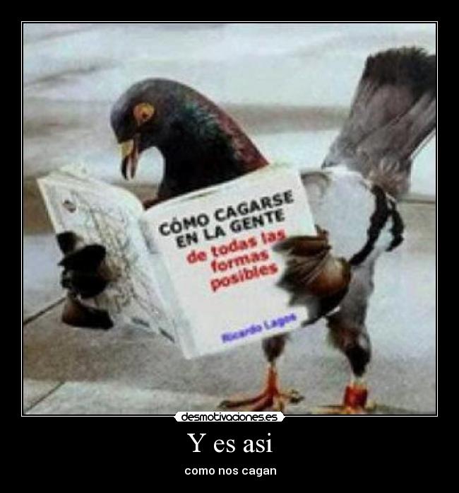 Y es asi - como nos cagan