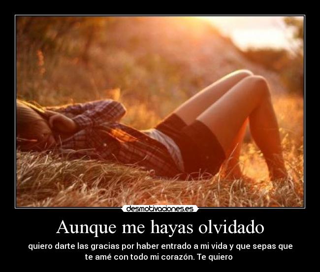 carteles hola desmotivaciones