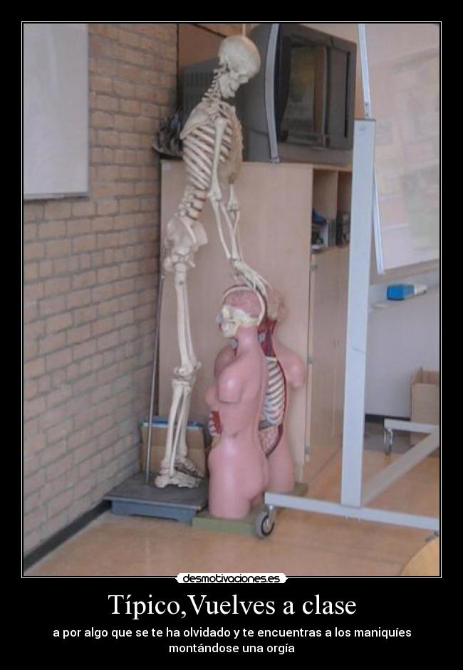 Típico,Vuelves a clase - a por algo que se te ha olvidado y te encuentras a los maniquíes
montándose una orgía