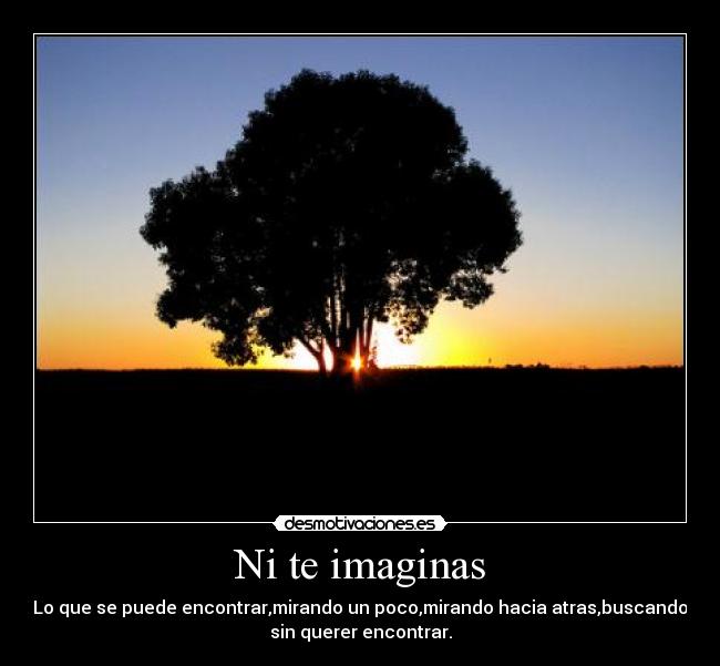 Ni te imaginas -