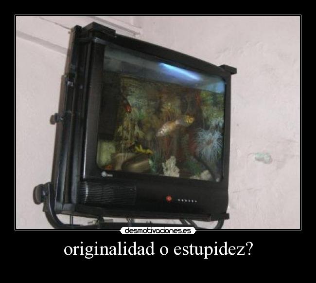 originalidad o estupidez? -