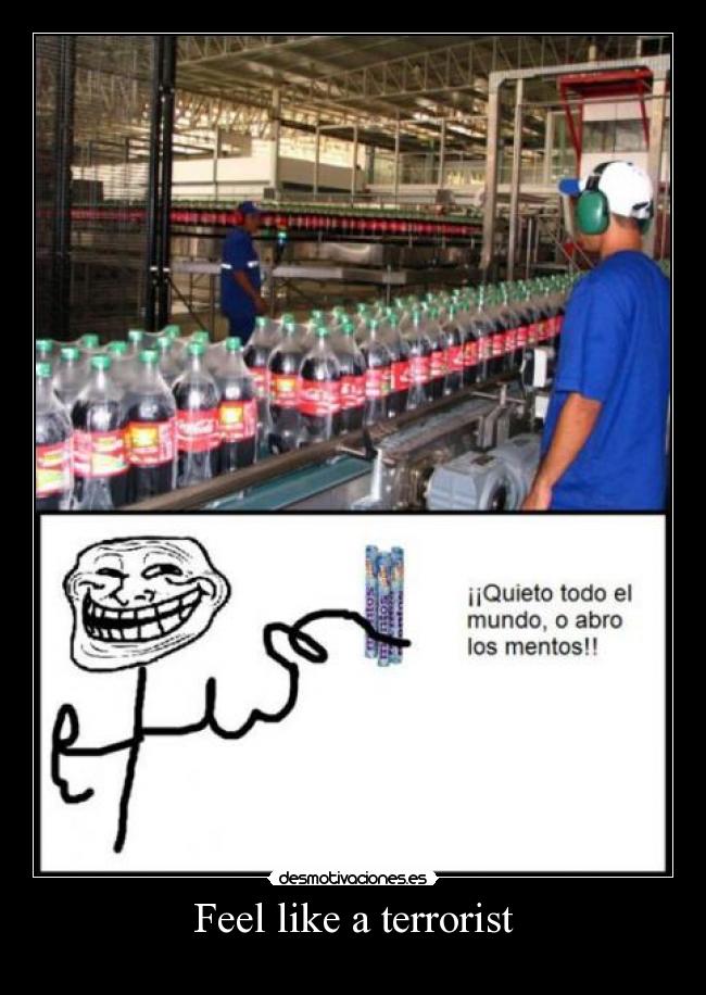 Feel like a terrorist -