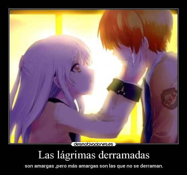 Las lágrimas derramadas - son amargas ,pero más amargas son las que no se derraman.