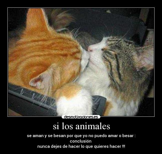 si los animales - se aman y se besan por que yo no puedo amar o besar :
conclusión 
nunca dejes de hacer lo que quieres hacer !!!