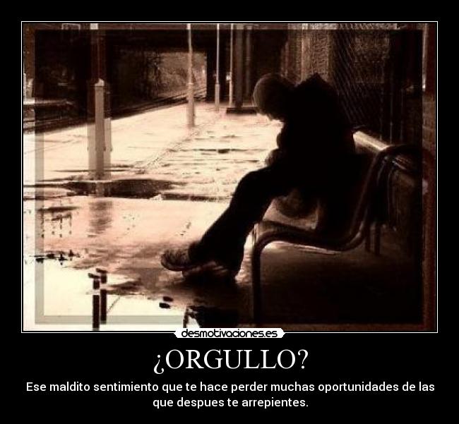 carteles orgullo desmotivaciones