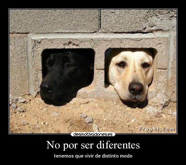 No por ser diferentes -