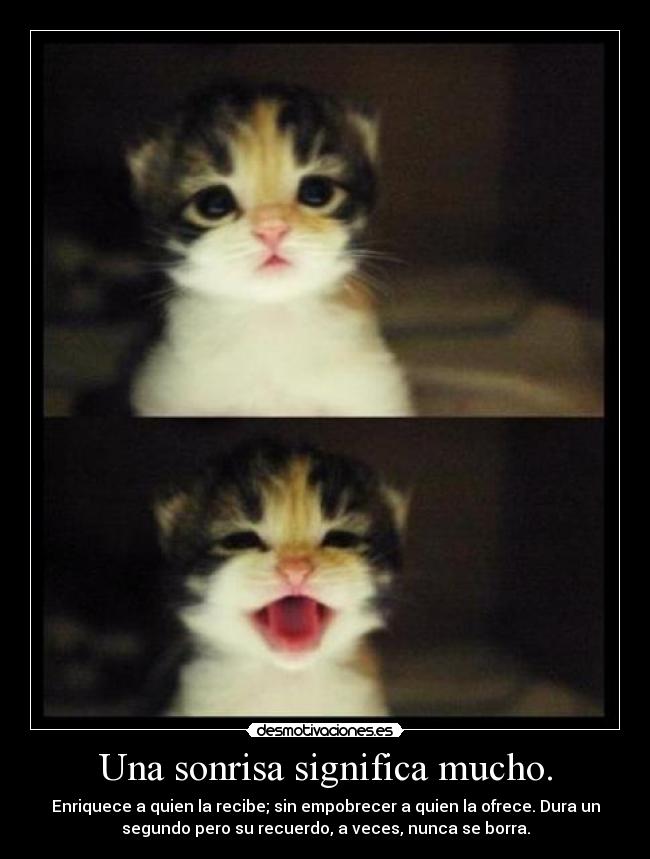Una sonrisa significa mucho. - Enriquece a quien la recibe; sin empobrecer a quien la ofrece. Dura un
segundo pero su recuerdo, a veces, nunca se borra.