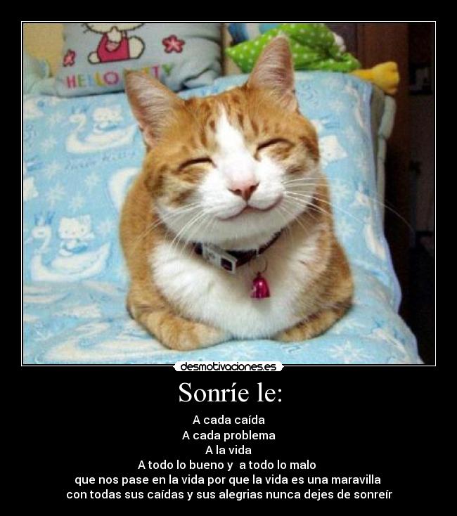 Sonríe le: - A cada caída
A cada problema
A la vida
A todo lo bueno y a todo lo malo
que nos pase en la vida por que la vida es una maravilla
con todas sus caídas y sus alegrias nunca dejes de sonreír