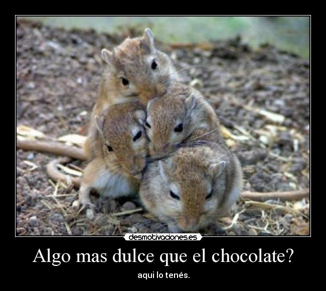 Algo mas dulce que el chocolate? - aqui lo tenés.