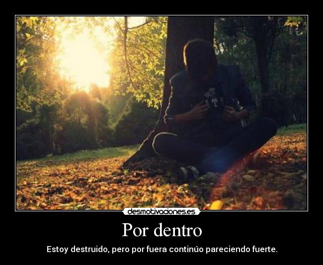Por dentro - Estoy destruido, pero por fuera continúo pareciendo fuerte.