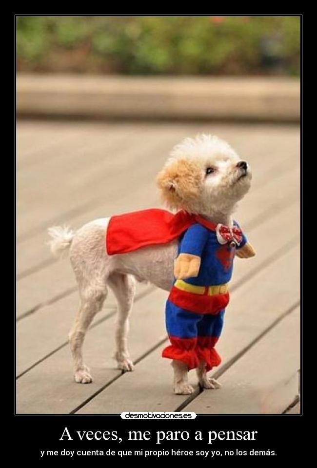 A veces, me paro a pensar -