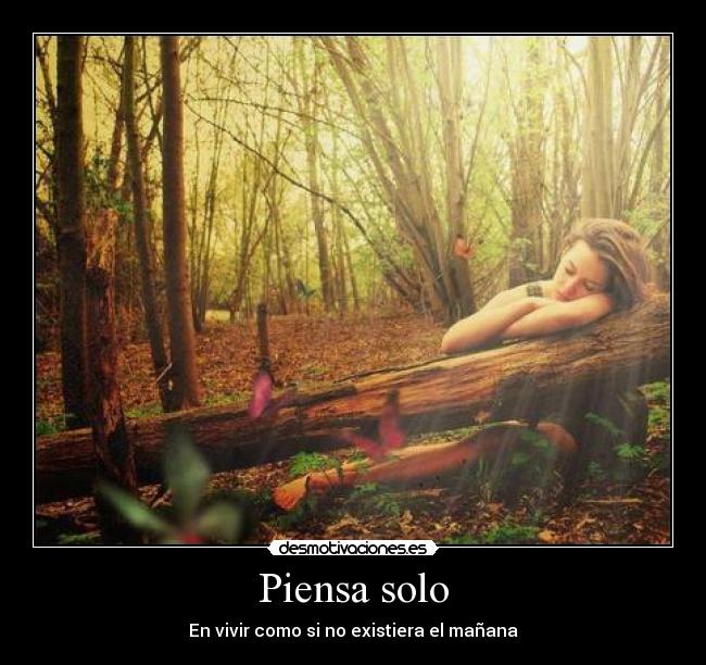 carteles vive desmotivaciones