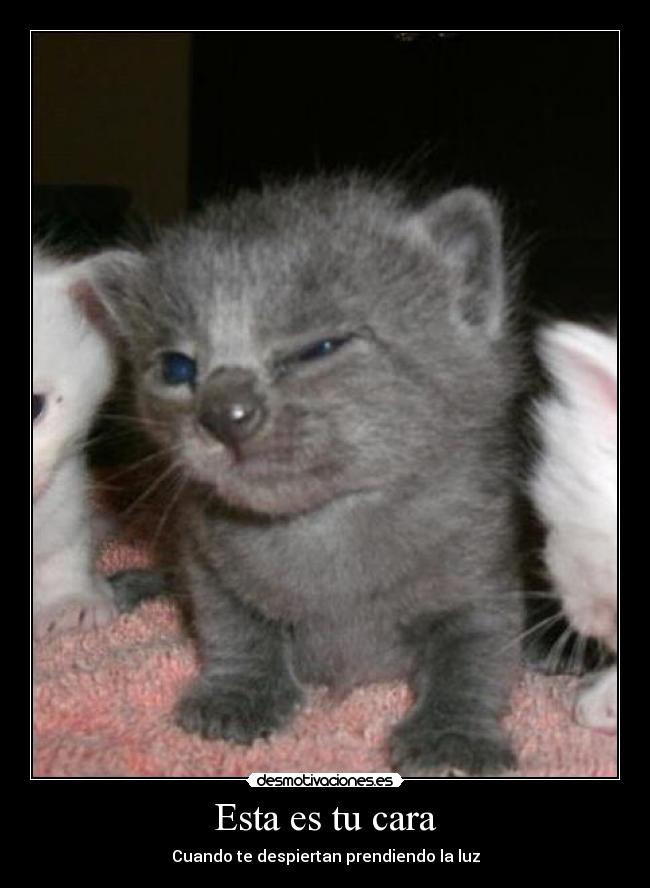 Esta es tu cara -