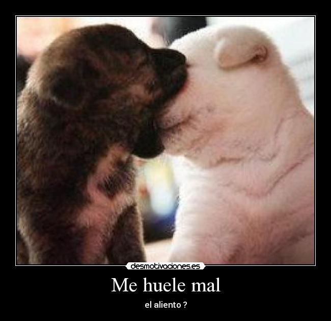 Me huele mal - 
