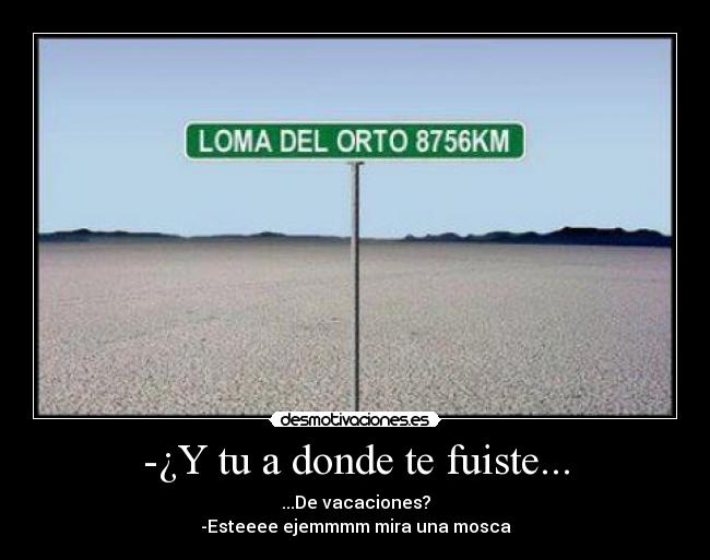 -¿Y tu a donde te fuiste... - ...De vacaciones?
-Esteeee ejemmmm mira una mosca
