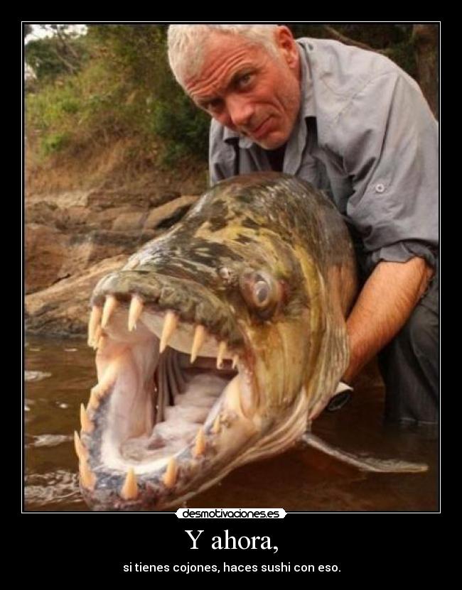 Y ahora, - si tienes cojones, haces sushi con eso.