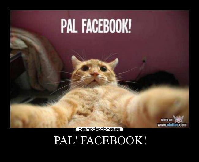 PAL FACEBOOK! - 