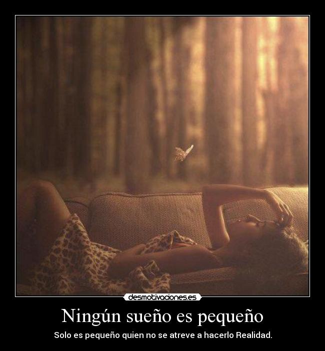 carteles sueno desmotivaciones