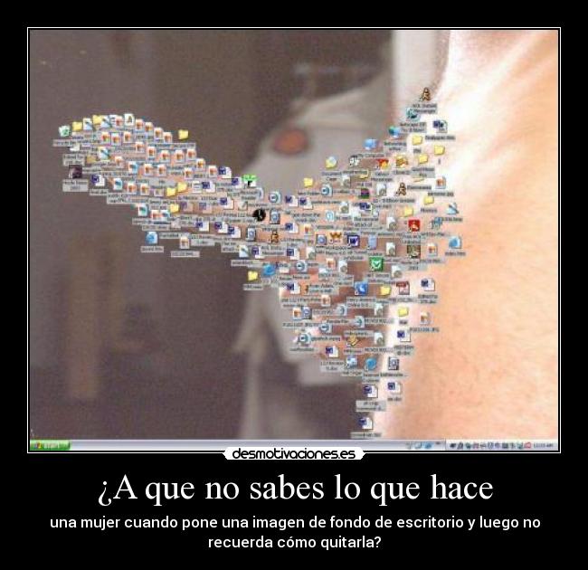 carteles las mujeres siempre somos muy despistadas desmotivaciones