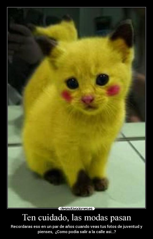Ten cuidado, las modas pasan -