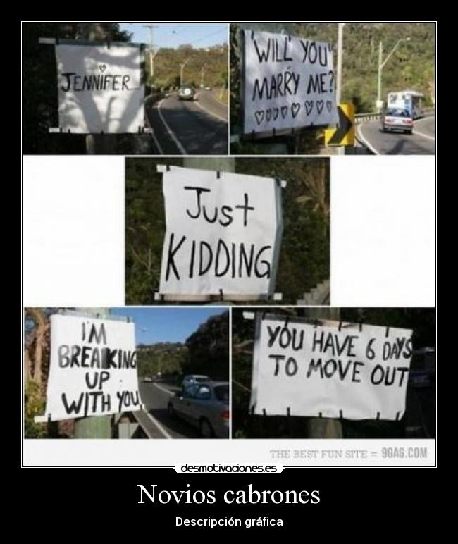 Novios cabrones - Descripción gráfica