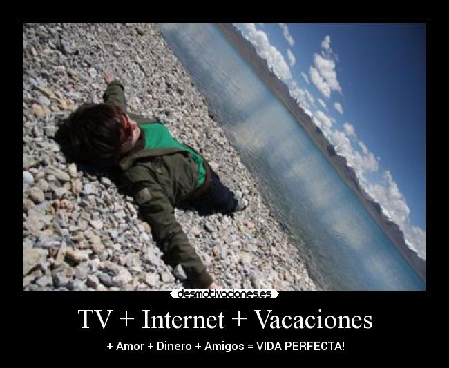 carteles internet vida perfecta desmotivaciones