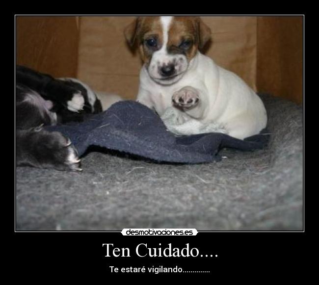 Ten Cuidado.... - 