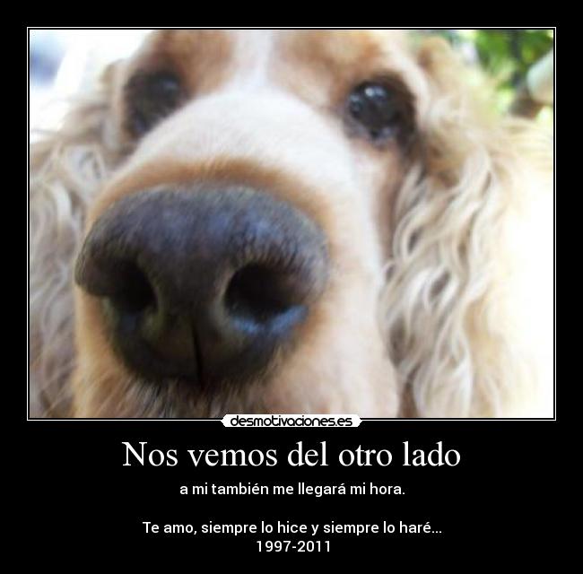 Nos vemos del otro lado - 