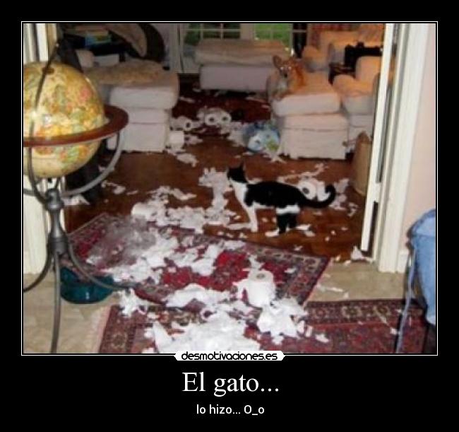 El gato... - lo hizo... O_o