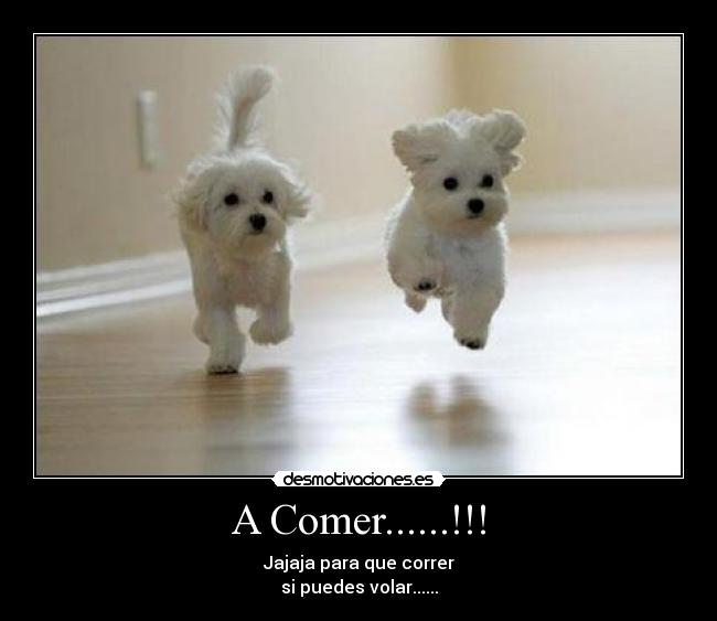 A Comer......!!! - Jajaja para que correr
si puedes volar......