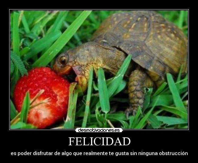 FELICIDAD - es poder disfrutar de algo que realmente te gusta sin ninguna obstrucción