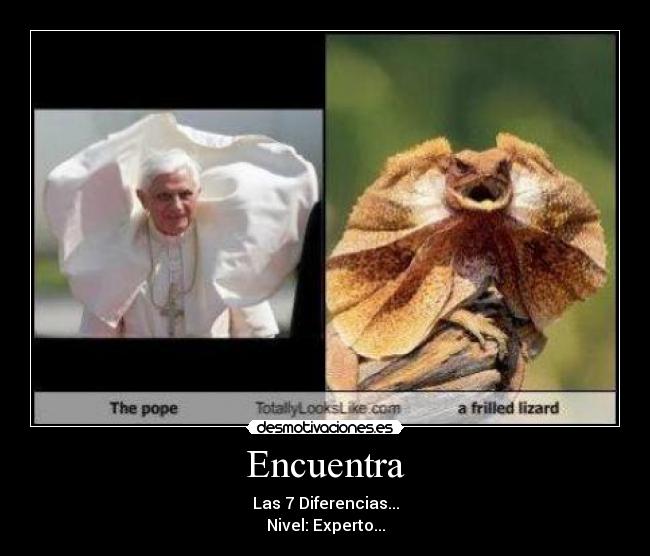 Encuentra - Las 7 Diferencias...
Nivel: Experto...