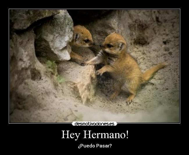 Hey Hermano! - ¿Puedo Pasar?