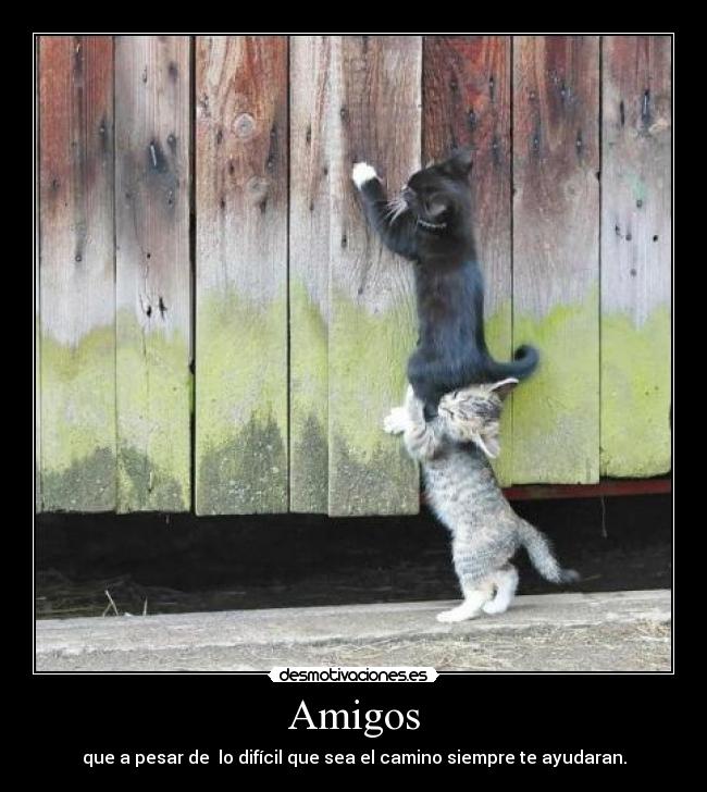 carteles amigos desmotivaciones
