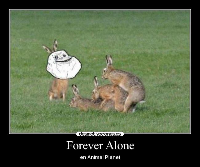 carteles jdm desmotivaciones