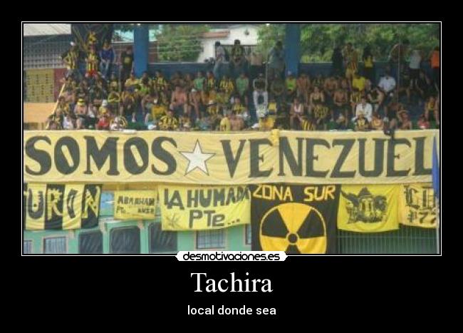 carteles avsr desmotivaciones