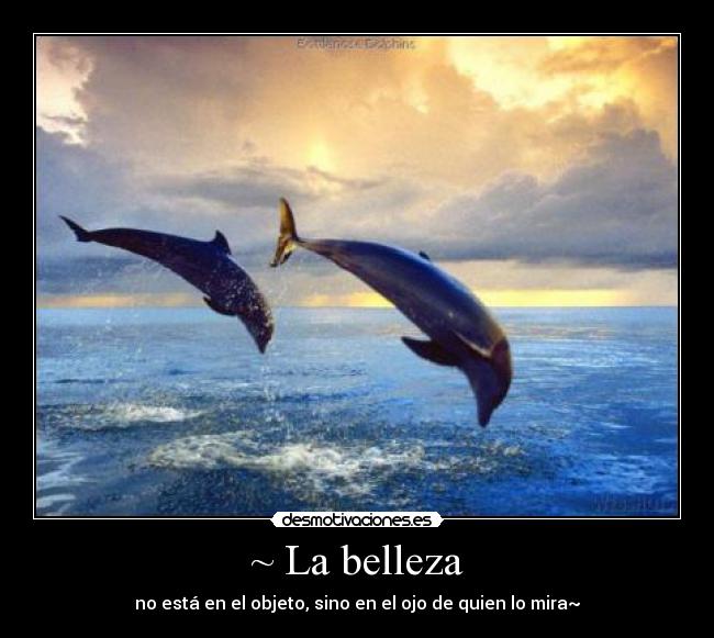 carteles belio como naturaleza lalala desmotivaciones