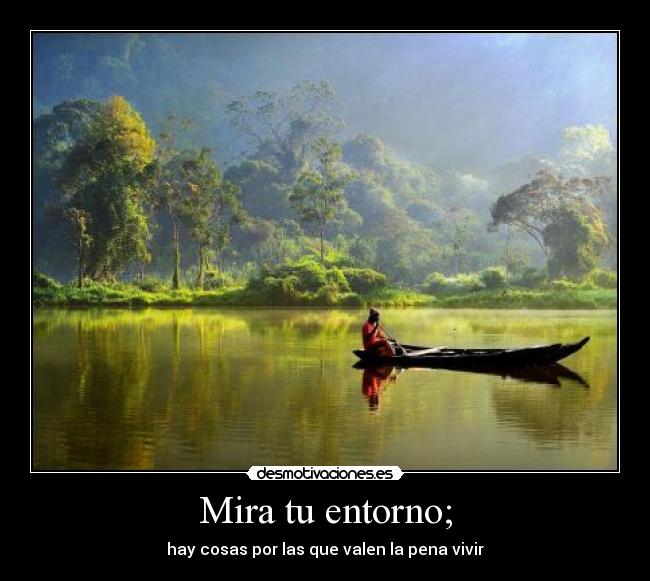 Mira tu entorno; -